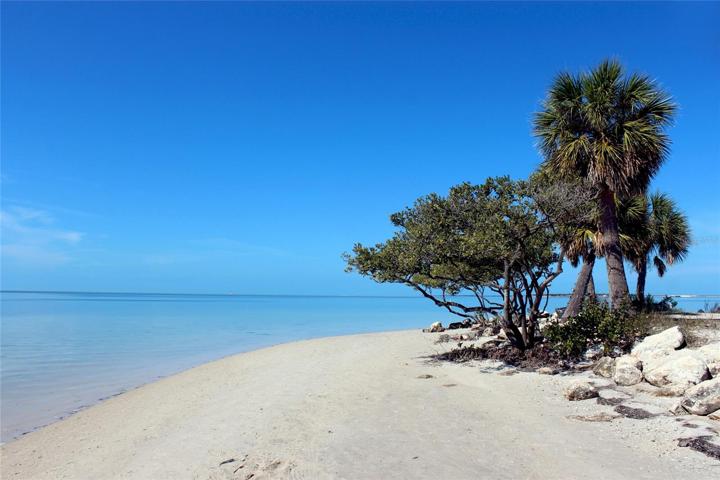 Tarpon Springs
