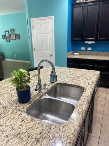 Island Sink