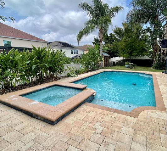 Heated Spa and Pool