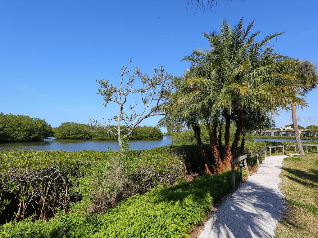 Walking trails along Sarasota bayfront
