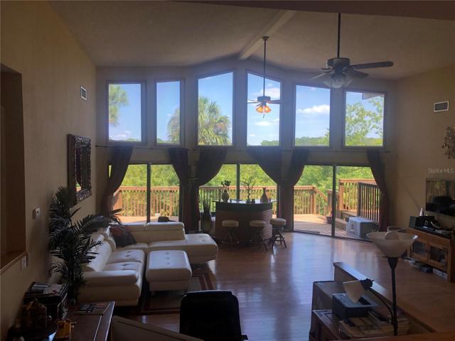 view from kitchen