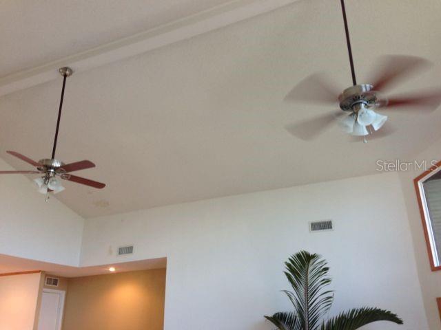 20 ft ceilings
