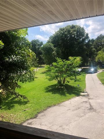 view from front patio