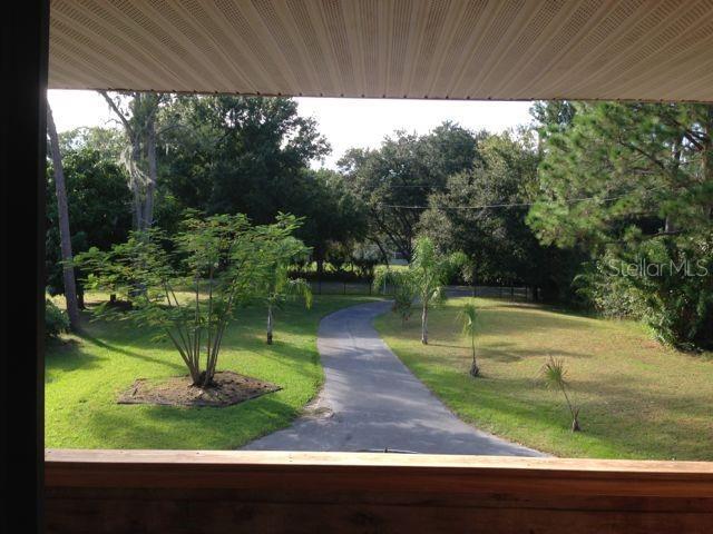 view from kitchen