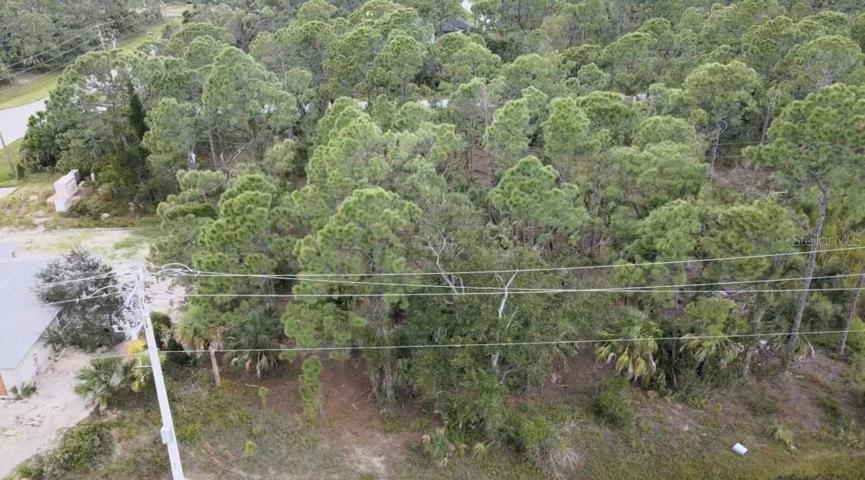 Aerial of 509 Biscayne Drive.