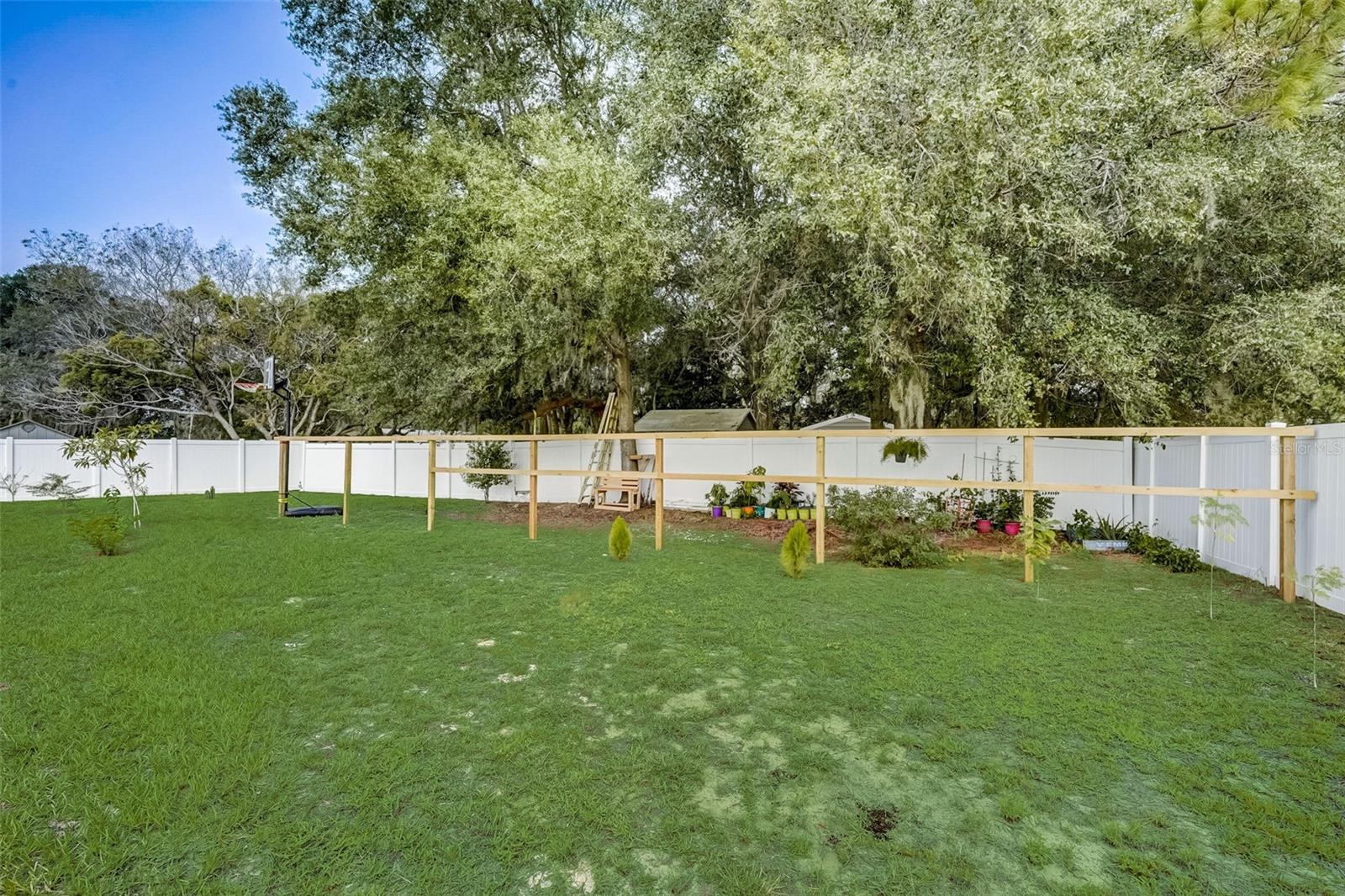 Back rear yard