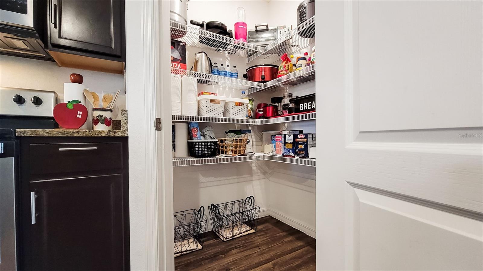 Large kitchen walk-in pantry