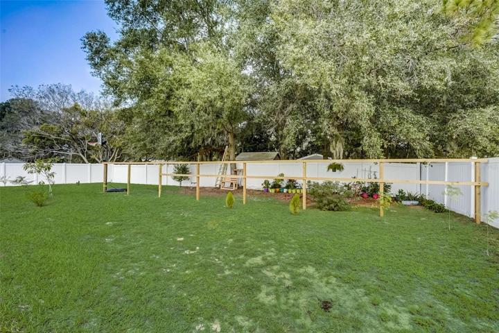Back rear yard