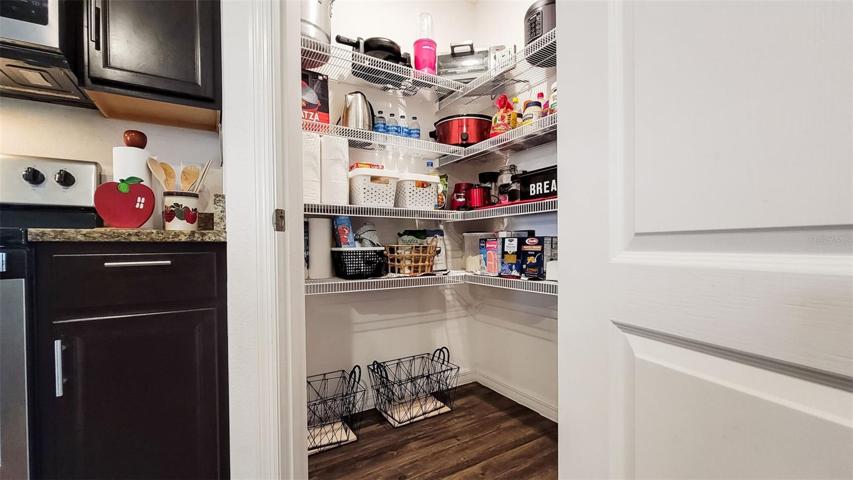 Large kitchen walk-in pantry