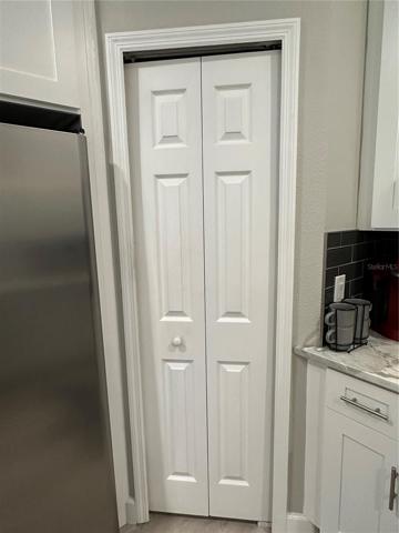 Kitchen Pantry Door