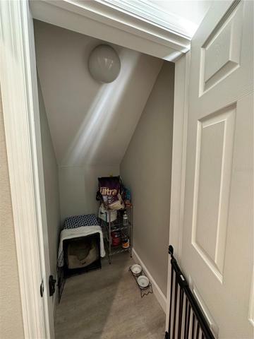 Storage Closet under Staircase