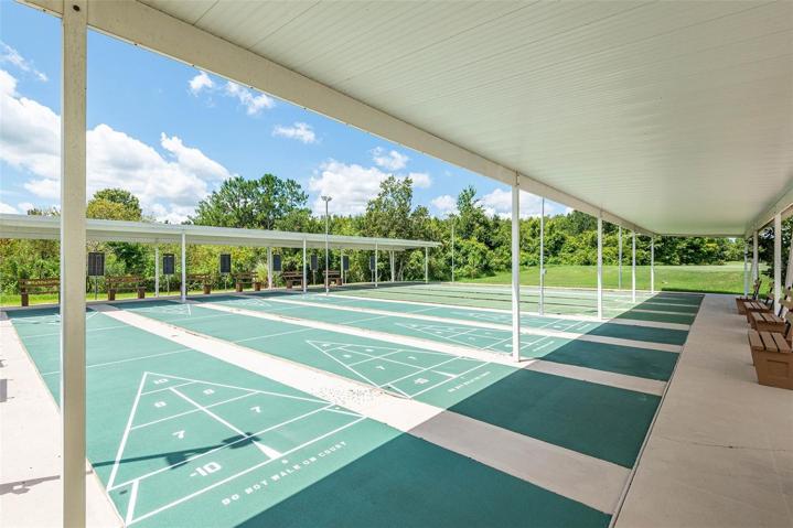 SHUFFLEBOARD!