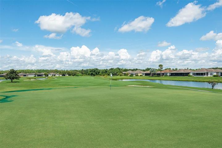 2 GOLF COURSES!