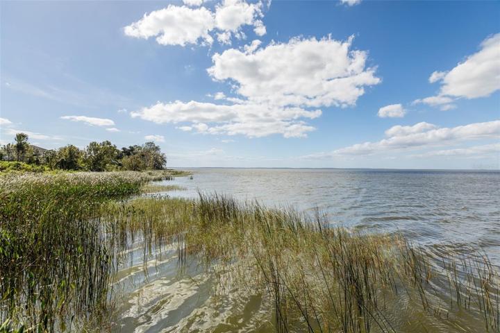 Lake Apopka-South View
