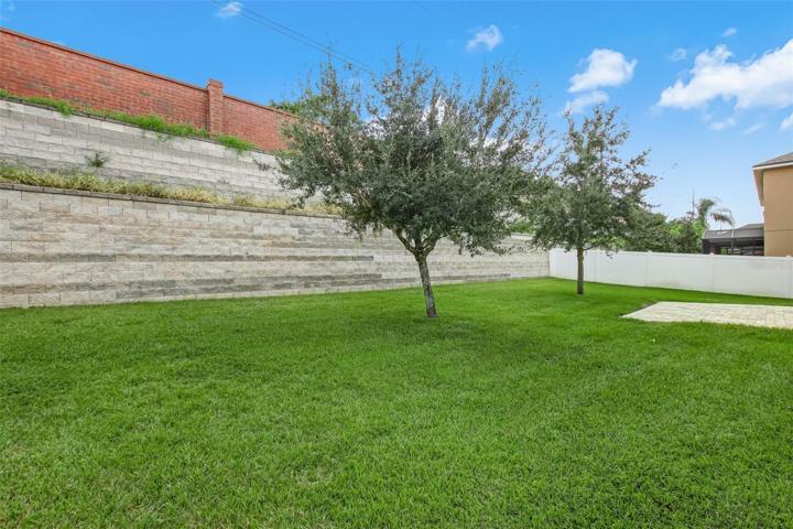Backyard-Right View