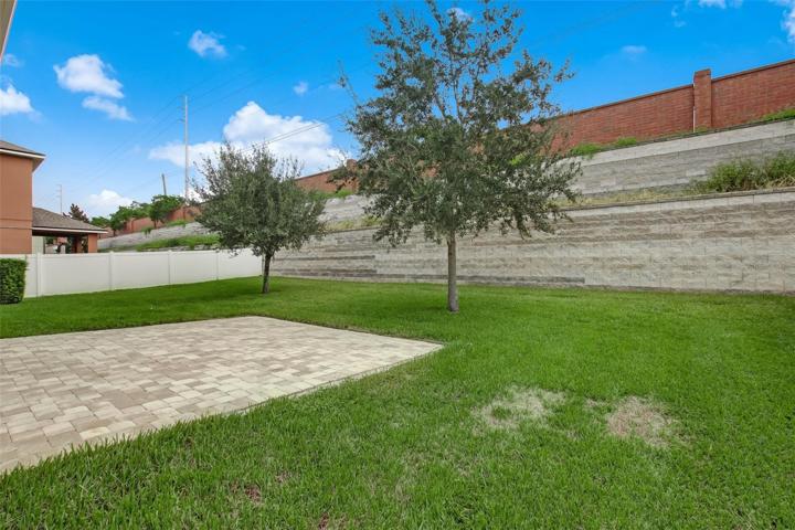 Backyard-Left View