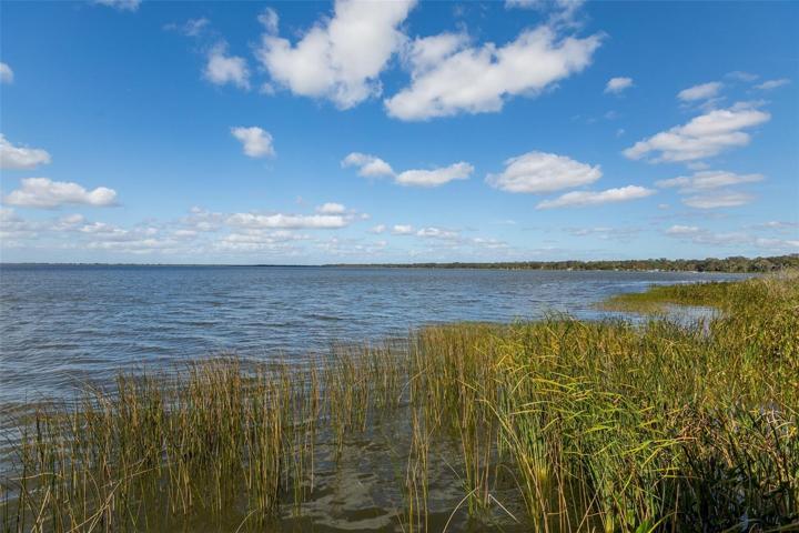 Lake Apopka-North View