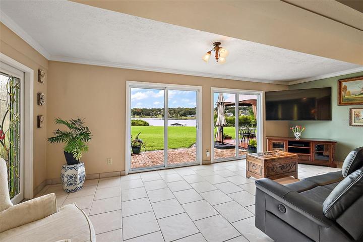 Living room with a view