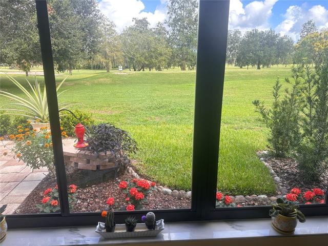 VIEW FROM SUNROOM