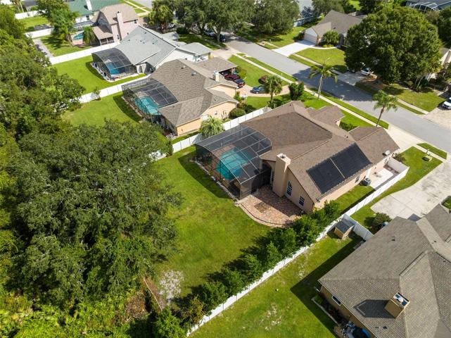 Bird View