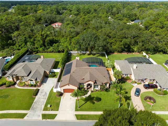 Bird View