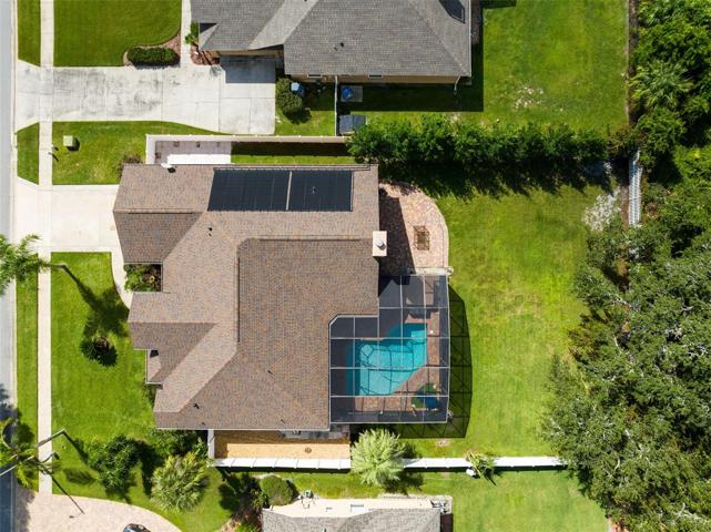 Bird View