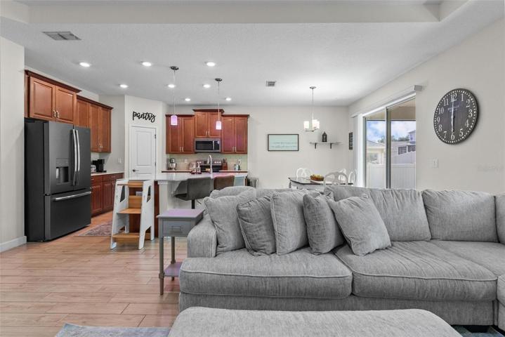 Living Room/Kitchen