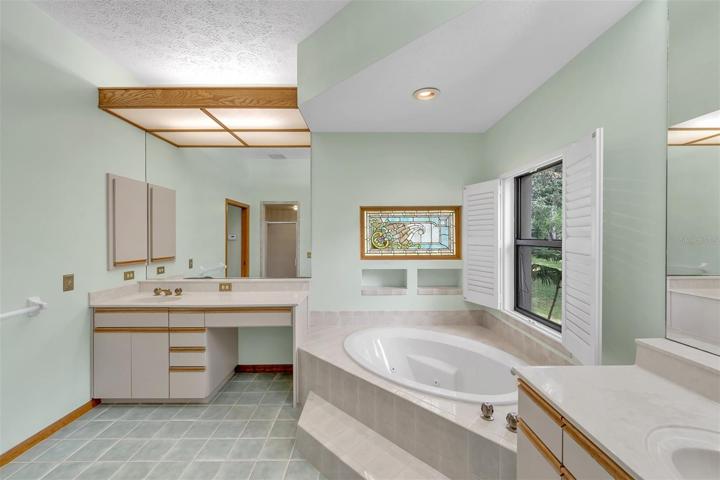 Master bath with duo sinks