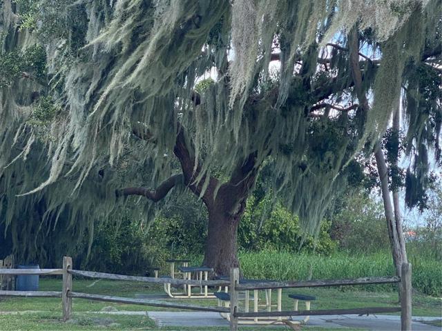 Park