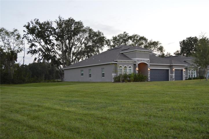 Huge Yard