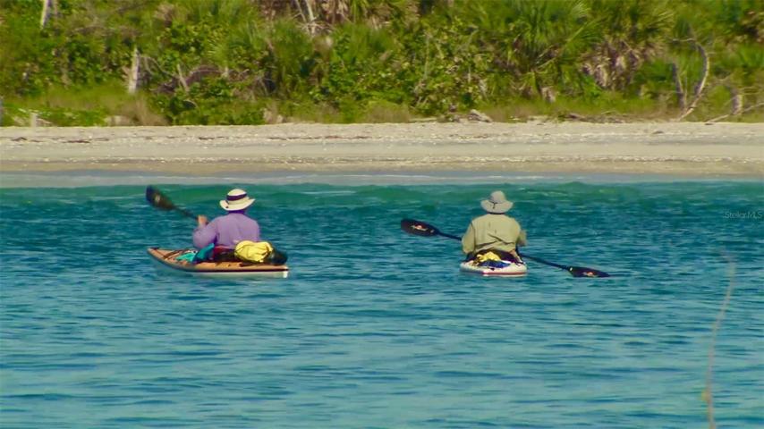 You can spend the day Kayaking around Little Gasparilla Island.  Spotting's of Dolphin, Manatee and numerous birds are frequent around LGI!