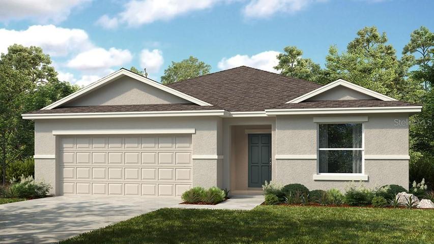 Cypress B ~ Rendering