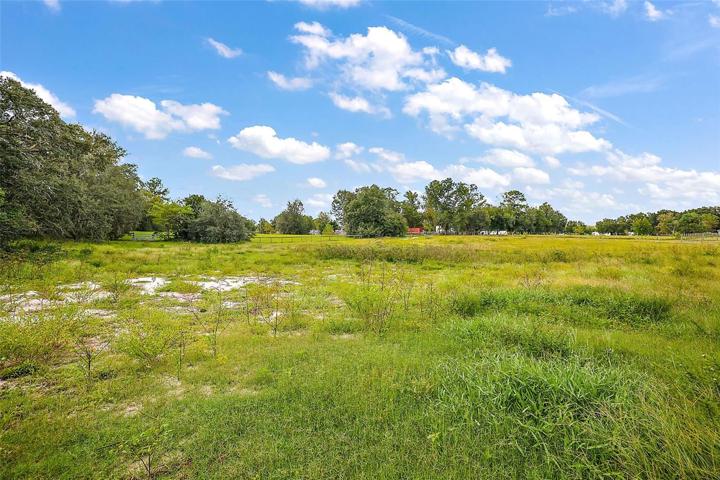 Front Acreage - in front of home and horse stalls.