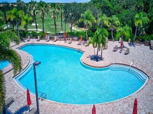 Main Pool