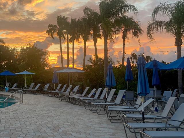 Main Pool/Sunset