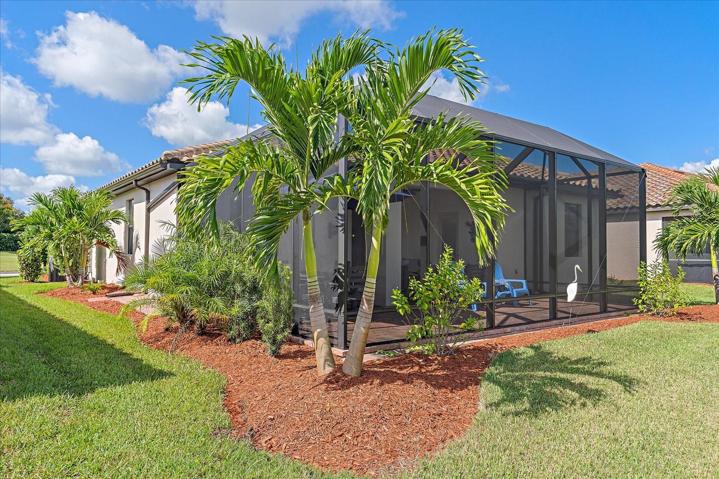 Backyard - Landscaped