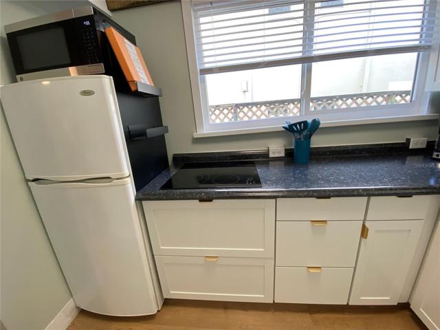 Kitchen - cooktop, small dishwasher, microwave, fridge, dishes and utensils