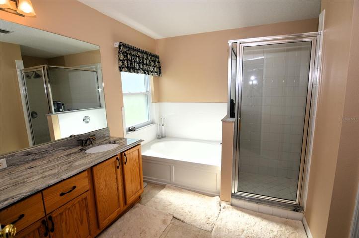 Master bathroom