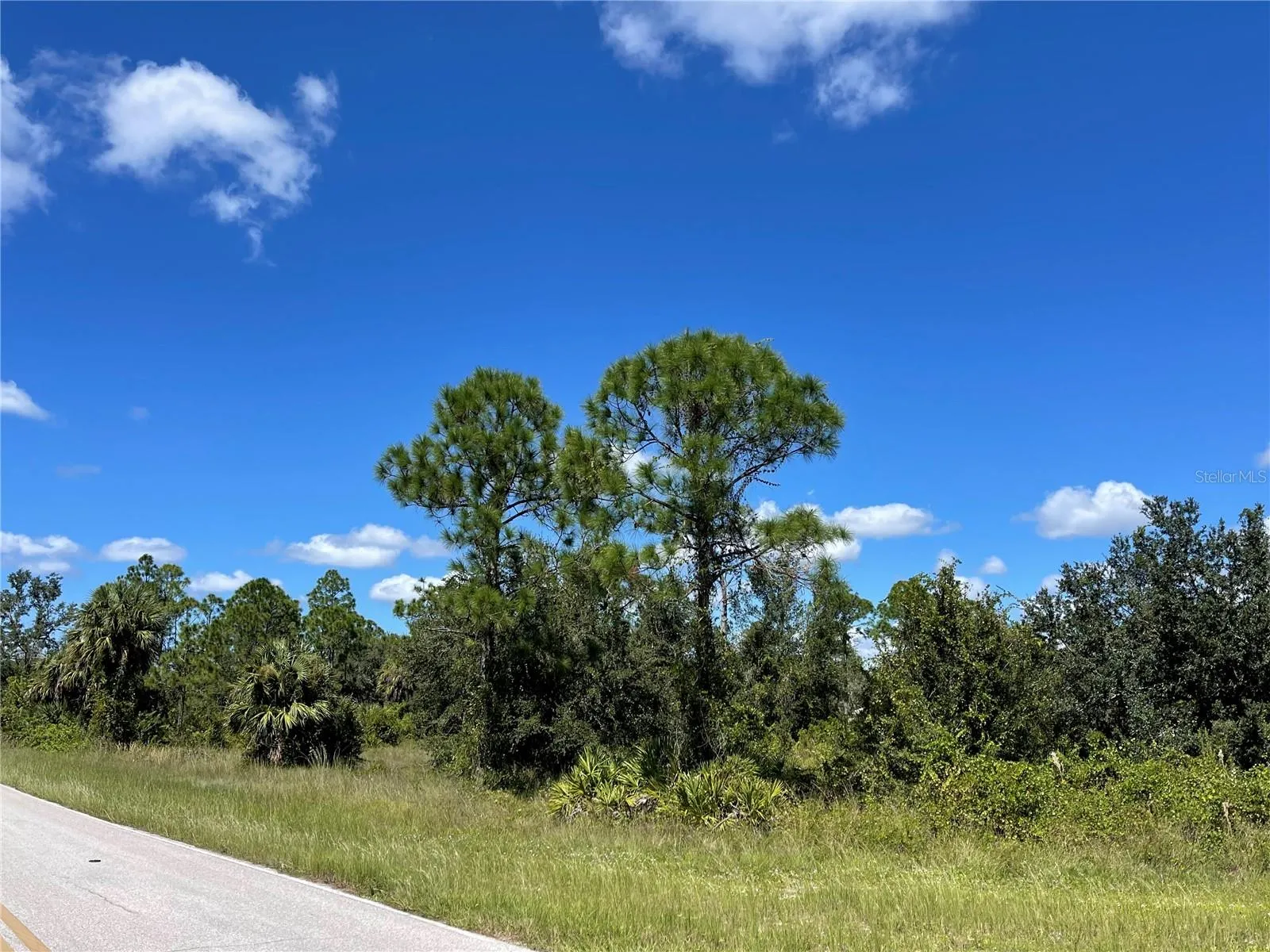 Punta Gorda, Florida 33955, 0 , 0 ,0,Land,For Sale,MONTE CRISTO,0,D6132741