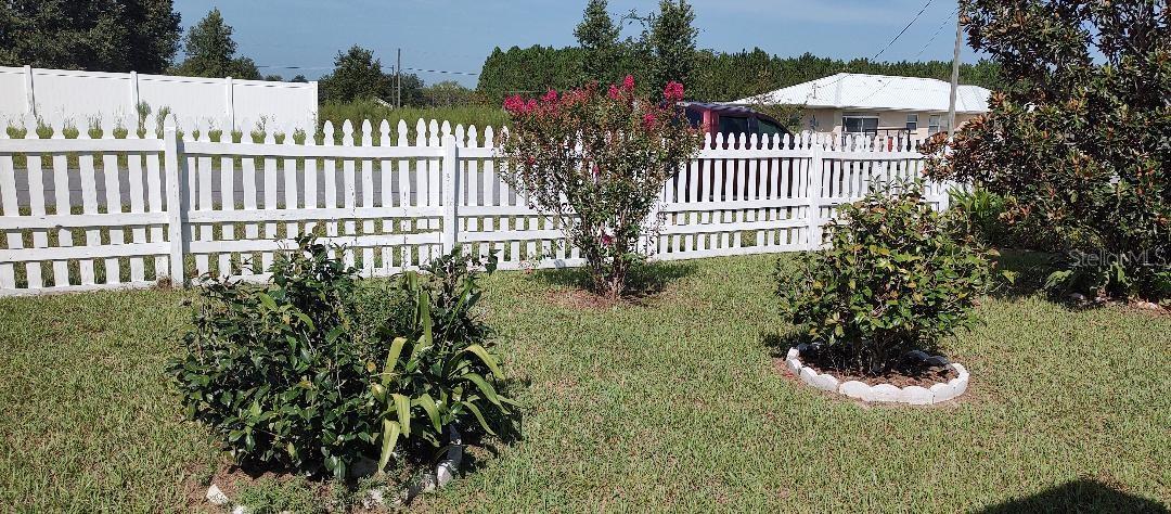 Front Yard