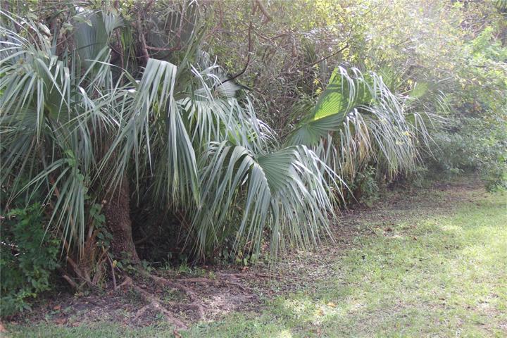 View from covered porch