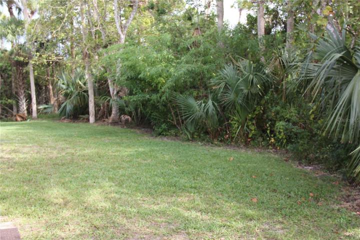 View from covered porch
