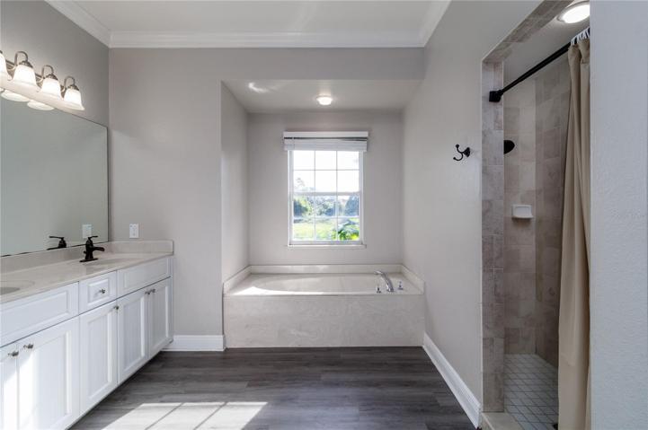 Master bathroom