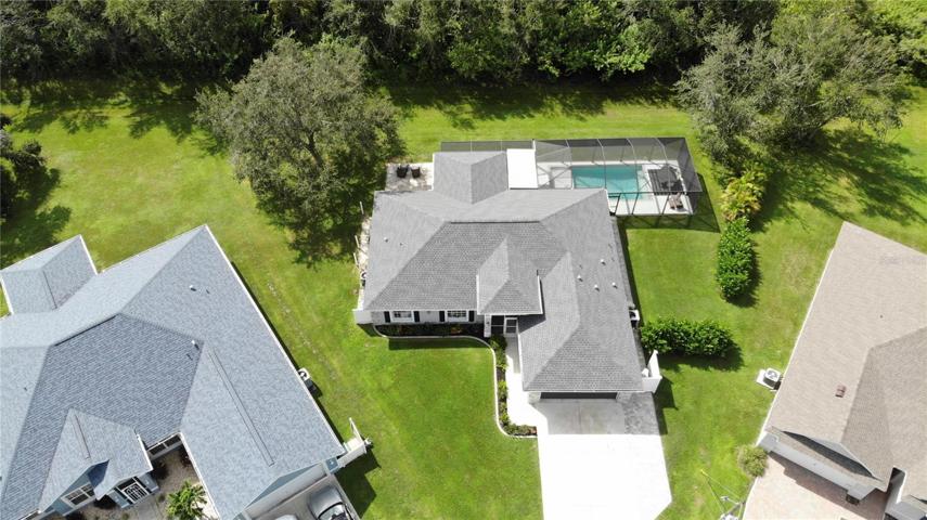 Mature privacy landscaping that requires little to no maintenance due to its native species