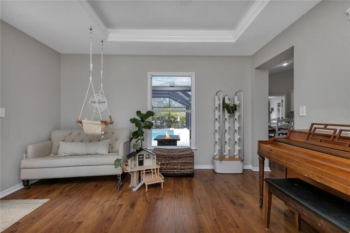 Tray ceiling with lighting