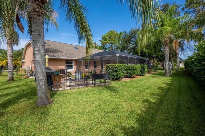 Large backyard with mature landscaping