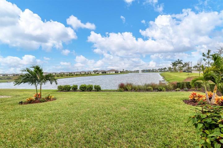 Pond view from back yard