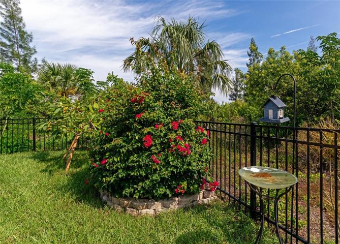 Bougainvillea for the Cardinal's and Hummingbirds.