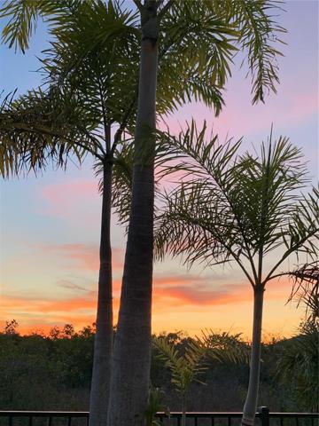 Sunset captured by the seller