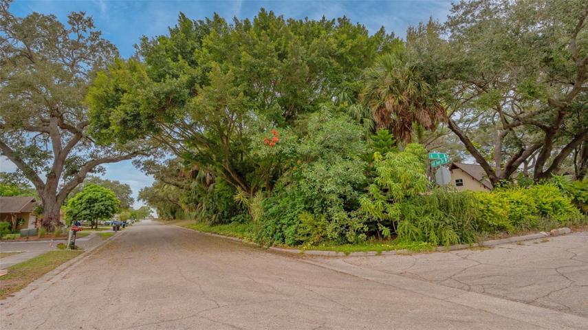 View from Lot #4 at the end of the block